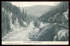 h3877 - BEAVER CANYON British Columbia Postcard 1900s River View by Trueman