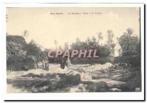 Algeria Bou Saada Old Postcard The marabout Diner to the river