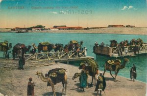 Egypt Kantara camels passing the Suez Canal vintage postcard 