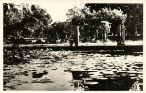 CPA AK Vietnam Indochine - Saigon - Le Jardin Botanique (85075)