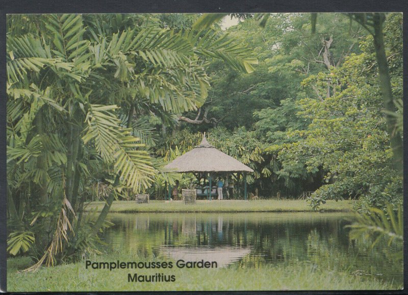 Mauritius Postcard - Botanical Garden of Pamplemousses T7043 