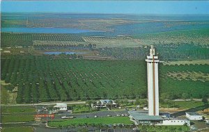 1960's Aerial View Citrus Tower, Clermont, Florida Chrome Postcard