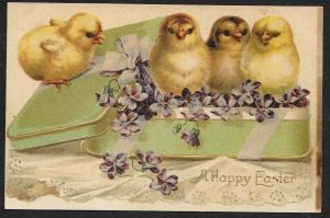 A Happy Easter Chicks Violets & Tin Box Unused c1910s