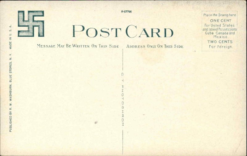 Blue Stores NY Hotel c1910 Postcard