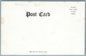 AMSTERDAM NY MAIN STREET UNDIVIDED ANTIQUE POSTCARD