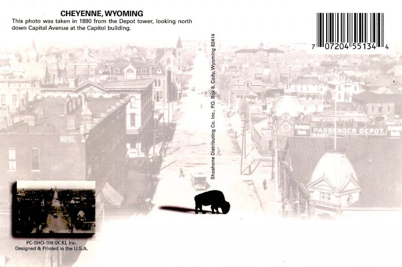 WY - Cheyenne. Capital Avenue, 1890