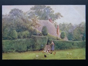 Hampshire New Forest COTTAGE AT EMERY DOWN W.Tyndale c1904 PC