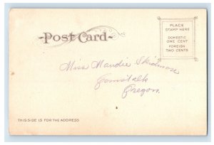 C1910 Mount Outt Oregon Postcard P173E