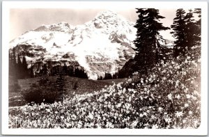 Wild Flowers Mountain Rainier National Park Washington Real Photo RPPC Postcard