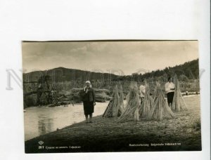 3173280 BULGARIA SOFIA drying konopy Vintage photo postcard