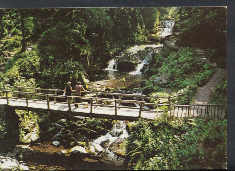 Devon Postcard - Lynmouth - Watersmeet   T1211