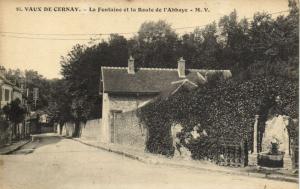 CPA VAUX de CERNAY-La Fontaine et la Route de l'Abbaye (260293)