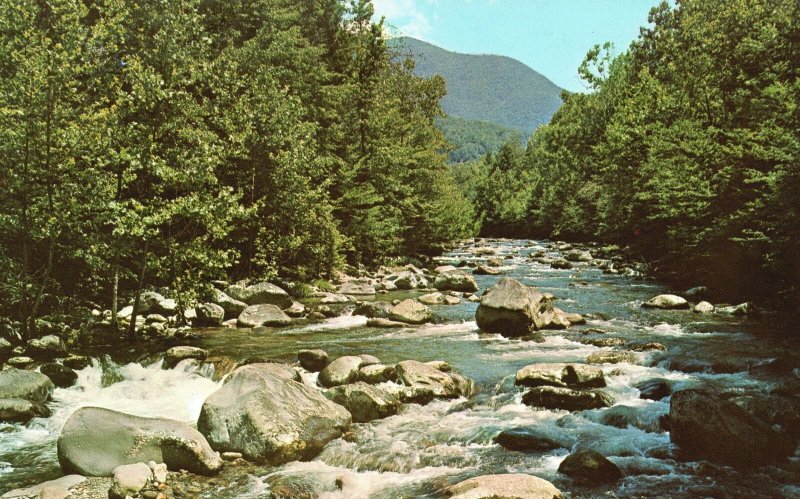 Vintage Postcard Little Pigeon River Rocks Great Smoky Mountains National Park