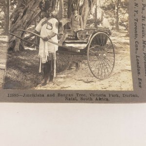 Jinrikisha Banyan Árbol Victoria Parque Durban Natal Sudáfrica Foto