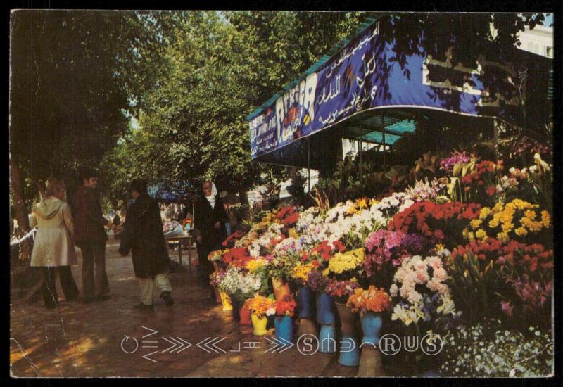 TUNIS - Florist