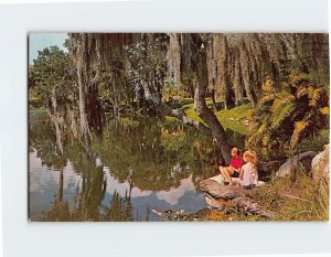 Postcard Daydreaming on scenic Orange Lake, New Port Richey, Florida