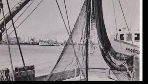 Texas Aransas Pass Shrimp Boats Dexter Press Archives