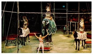 Ringling Bros.   Acclaimed Animal Master , Gunther Gebel-Williams