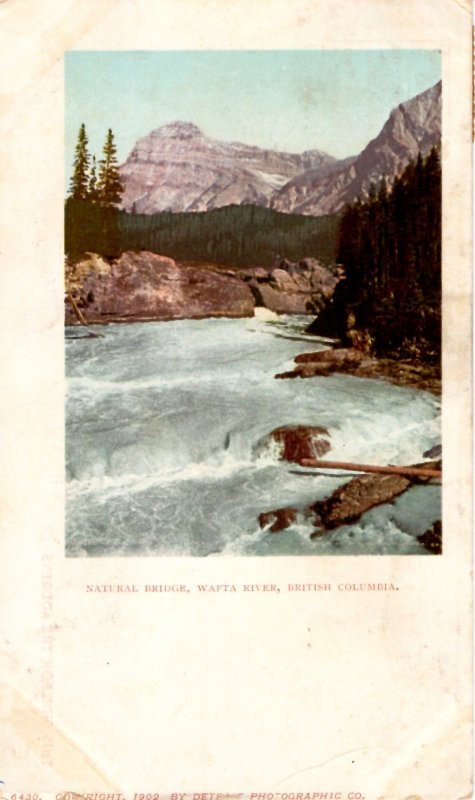 Canada 1903 Natural Bridge Wapta River British Columbia BC Detroit Photographic