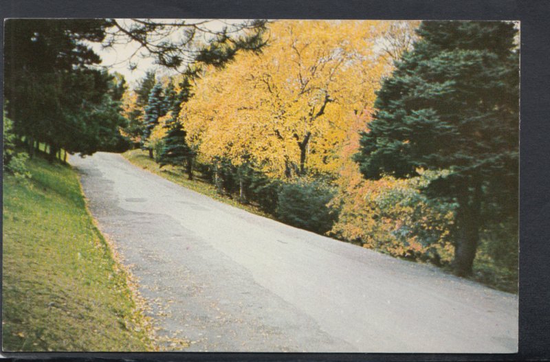 Canada Postcard - Bowring Park, St John's, Newfoundland   HP45