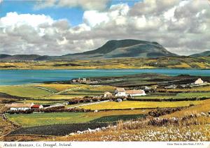 B100658 muckish mountain donegal ireland
