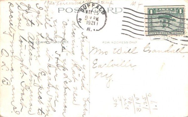 Bridge Buffalo, New York Postcard