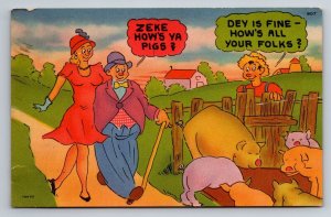 Zeke How's Ya Pigs Humor Vintage Unposted Linen Postcard