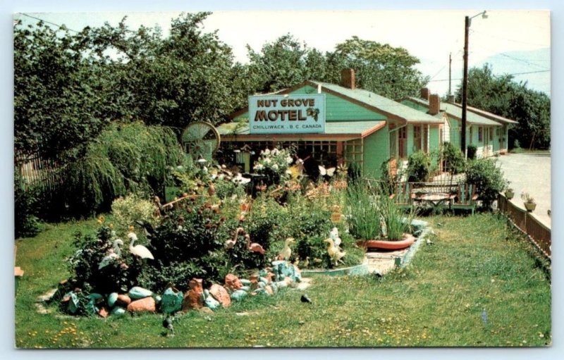 CHILLIWACK, B.C. Canada ~ Roadside NUT GROVE MOTEL ca 1950s-60s  Postcard