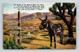 Donkey Sign Gold Hills Trail Cactus Postcard UNP WOB Note EC Kropp VTG Vintage 