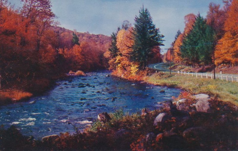 Autumn View along Sacandaga River - Speculator NY Adirondacks New York - pm 1955