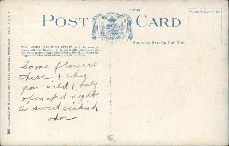 Hawaii HI Night Blooming Crocus c1910 Vintage Postcard