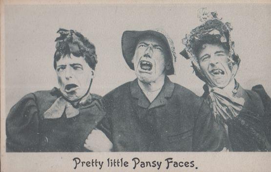 Pretty Little Pansy Faces Transgender Antique Funny Face Comic Postcard