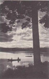 Maine Lake Kezar Glorious Vacation Days On Kezar Lake Albertype