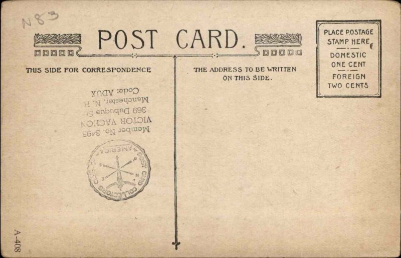 Monkey Comic Fantasy Monkeys Dressed as People Romance c1910 Postcard