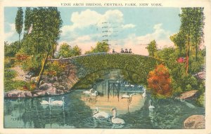 Central Park New York Vine Arch Bridge 1925 WB Postcard Used