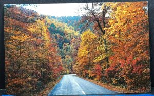 Fall Colors Great Smoky National Park Vintage Postcard