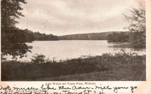 Vintage Postcard 1906 Lake Waban and Tupelo Point Wellesley Boston Massachusetts