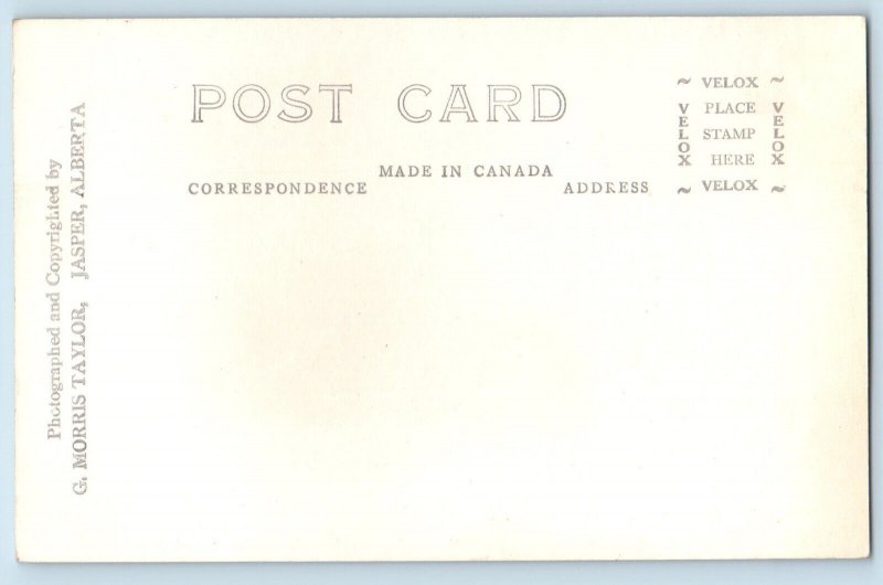 Alberta Canada Postcard G. Morris Taylor Jasper Park c1930's RPPC Photo