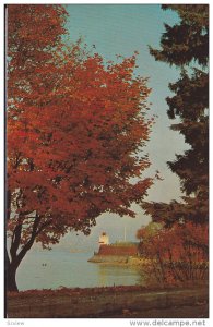 An Autumn View In Stanley Park, Showing The Lighthouse On Brockton Point, Van...