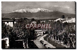 Postcard Modern Perpignan banks of the Bass Canigou