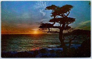 Postcard - Day's End - Setting Sun - 17 Mile Drive, California, USA