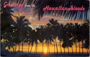 Postcard Hawaii - Greetings from the Hawaiian Islands - Sunset through the Palms