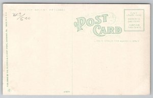 GA Savannah Georgia Christ Episcopal Church Postcard C32