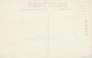 Alpine Flower Mizubasyo - Oguni Marsh, Japan