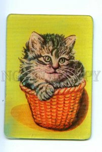 498260 USSR 1981 kitten in a basket lenticular 3D two-species Pocket CALENDAR