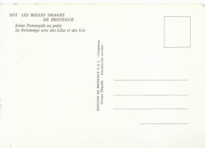 Costumes Postcard - Les Belles Images De Provence - Scene Provencale - Ref 6342A