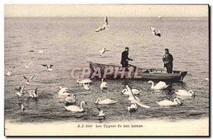 Old Postcard Swans Lake Leman