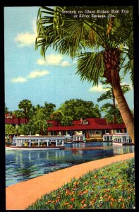 Florida SILVER SPRINGS Starting on Glass Bottom Boat Trip ~ Linen