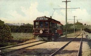 Tilton's Trolley Trip