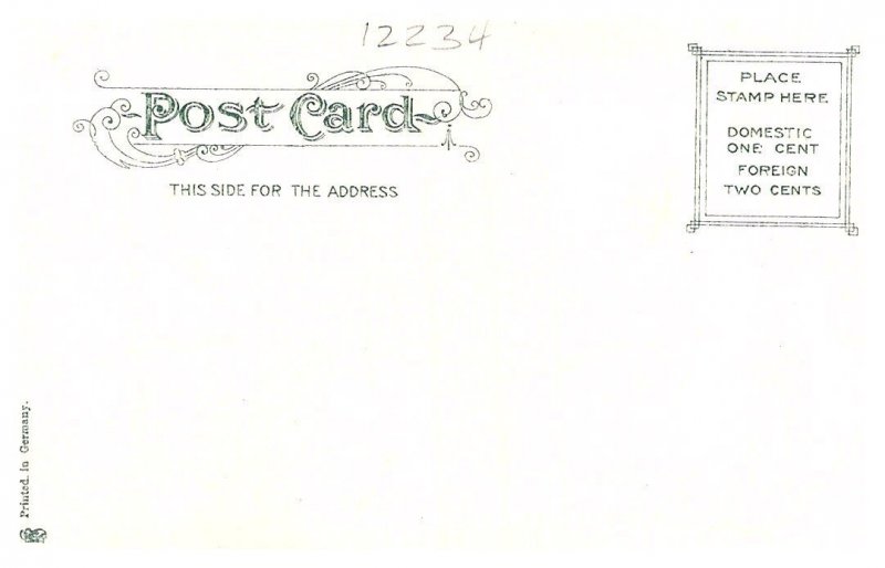 Camel, named Holy Moses